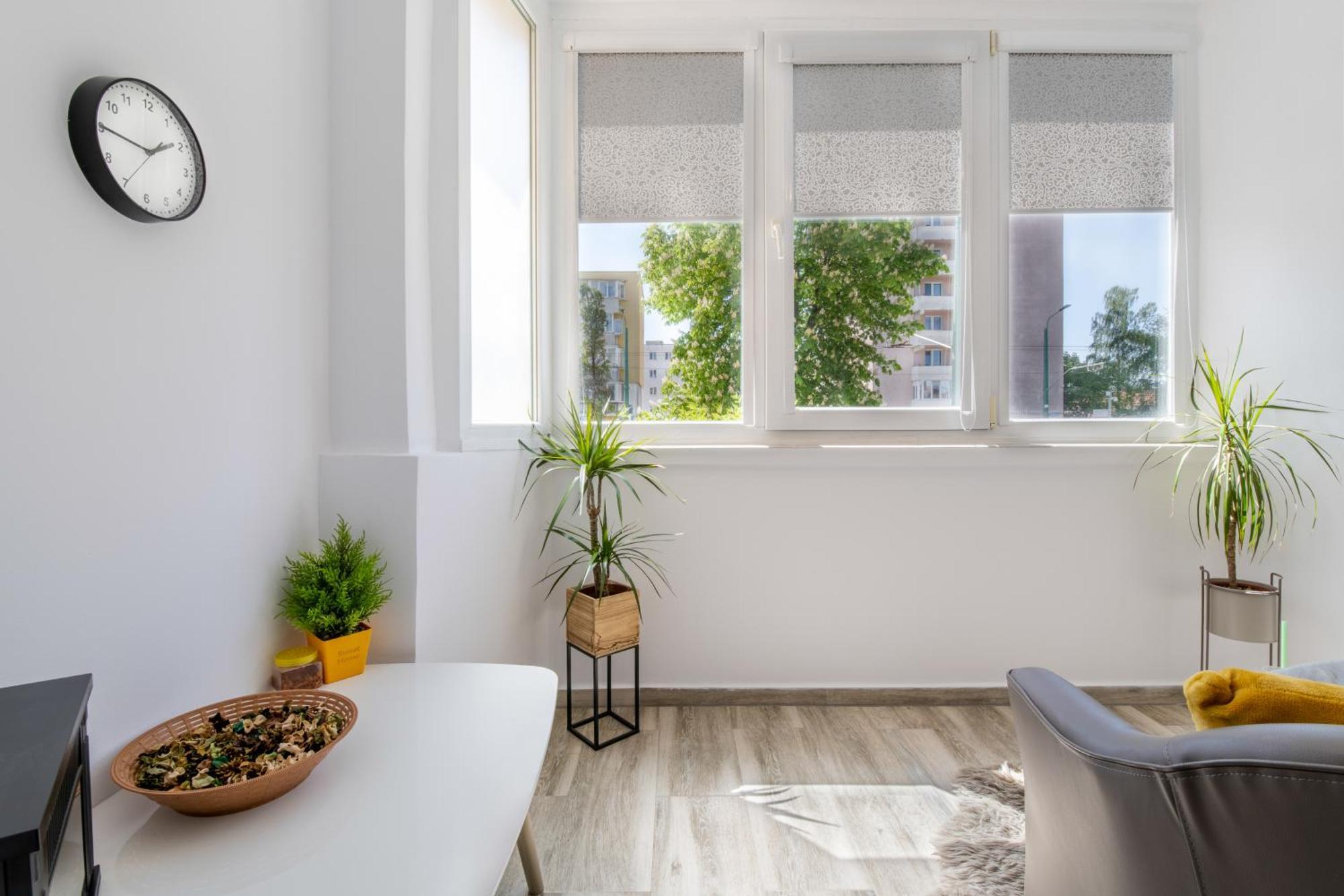 בראשוב Springhome - Cozy Apartment With Balcony & Parking מראה חיצוני תמונה