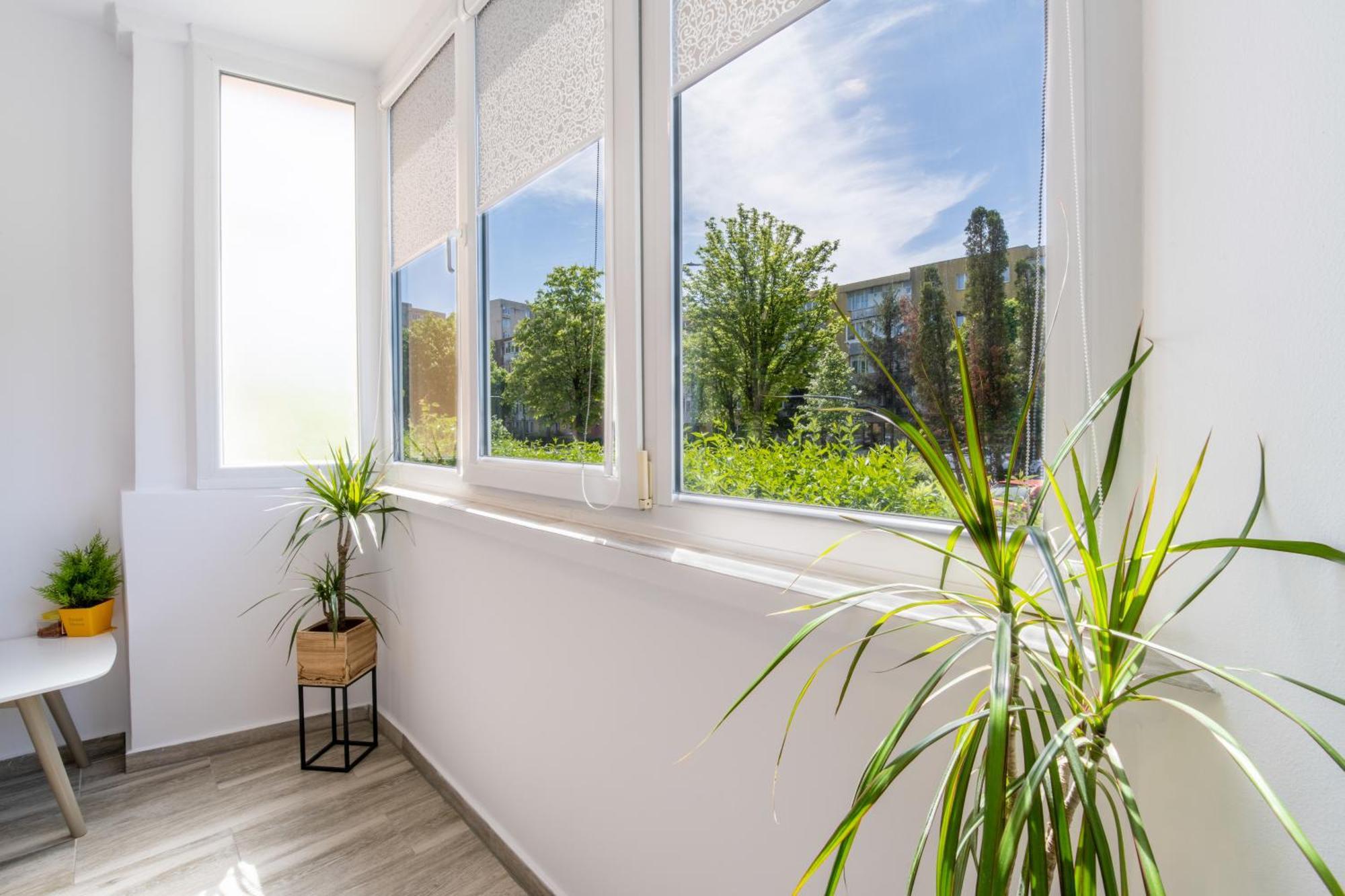 בראשוב Springhome - Cozy Apartment With Balcony & Parking מראה חיצוני תמונה
